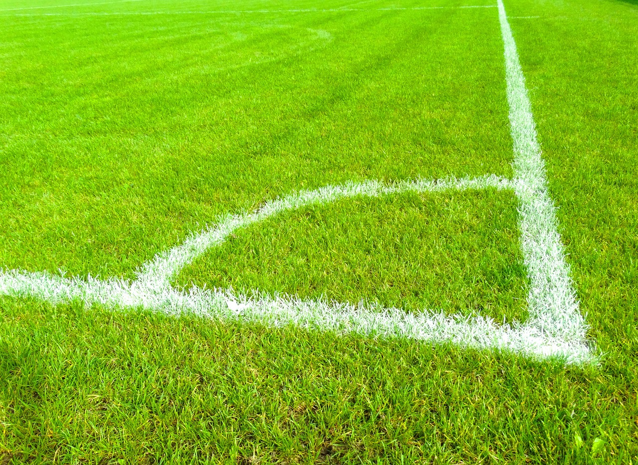 切四诊合参