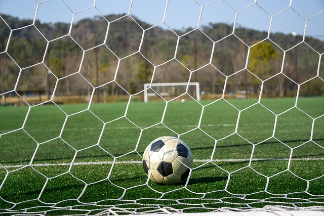 彰显了他对 彰显了他对