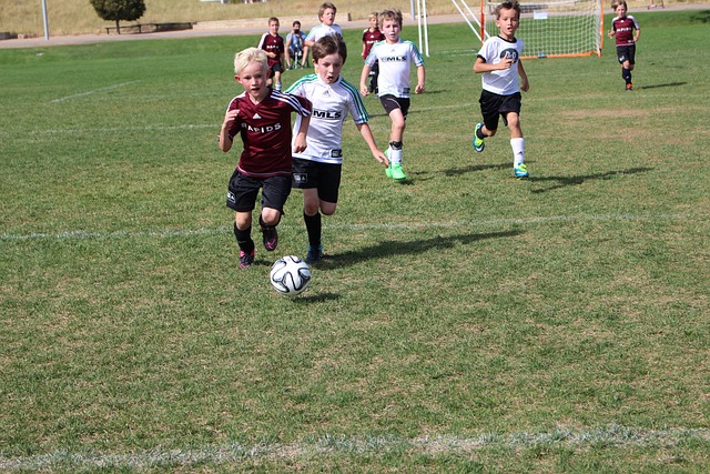 友的高效配 友的高效配