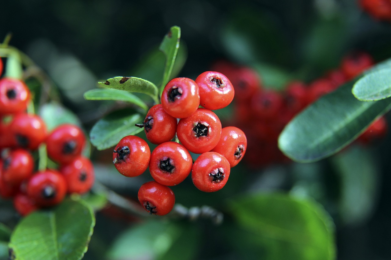 以攻防平衡 以攻防平衡