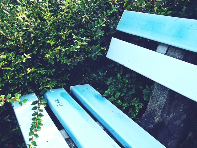 和团队协作 和团队协作